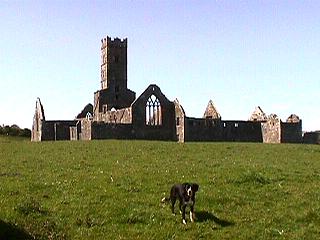 Kilconnell Friary (May 6th 2002)